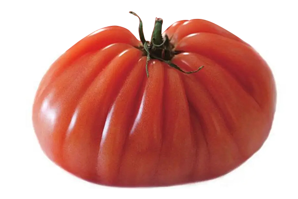 無(wú)土栽培，無(wú)土栽培技術(shù)，無(wú)土栽培設(shè)備