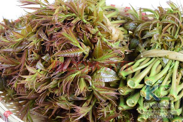 無(wú)土栽培，無(wú)土栽培技術(shù)