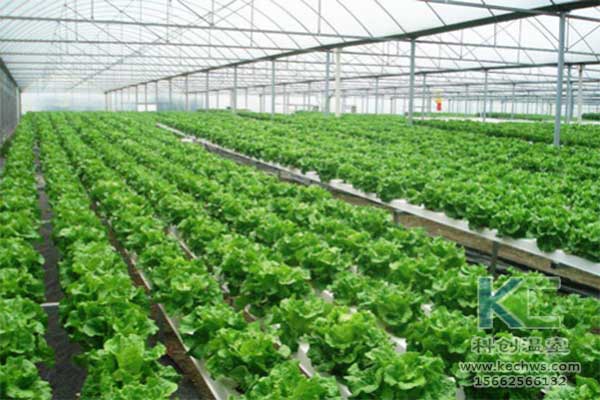 無土栽培，無土栽培技術(shù)，無土栽培設(shè)備