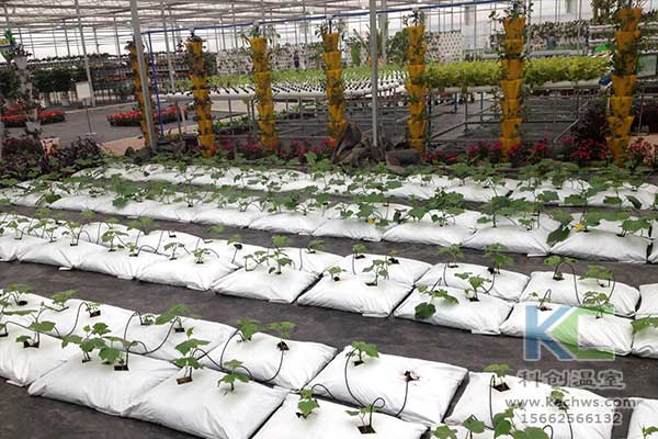 無土栽培，無土栽培技術(shù)，無土栽培設(shè)備