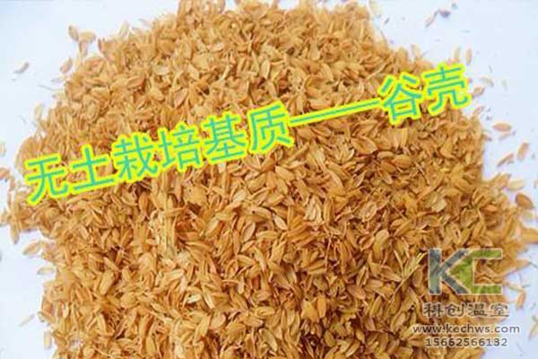 無(wú)土栽培，無(wú)土栽培技術(shù)，無(wú)土栽培設(shè)備