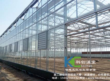 無(wú)土栽培，無(wú)土栽培技術(shù)，無(wú)土栽培設(shè)備