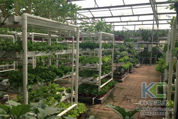無土栽培，無土栽培技術，無土栽培設備