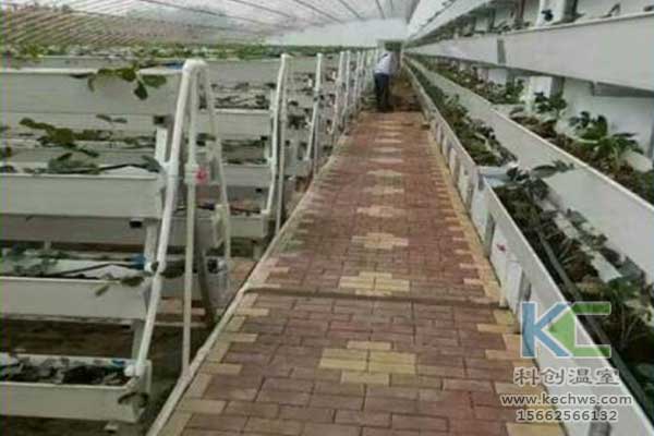 無土栽培，無土栽培技術(shù)，無土栽培設(shè)備