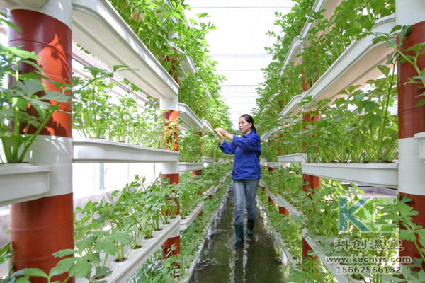 無(wú)土栽培，無(wú)土栽培技術(shù)，無(wú)土栽培設(shè)備