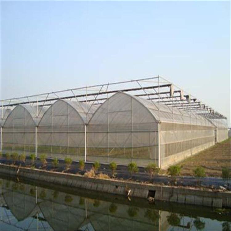 無(wú)土栽培，無(wú)土栽培技術(shù)，無(wú)土栽培設(shè)備